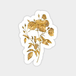 Vintage Gilded Ternaux Rose Bloom Botanical Gold Leaf Sticker